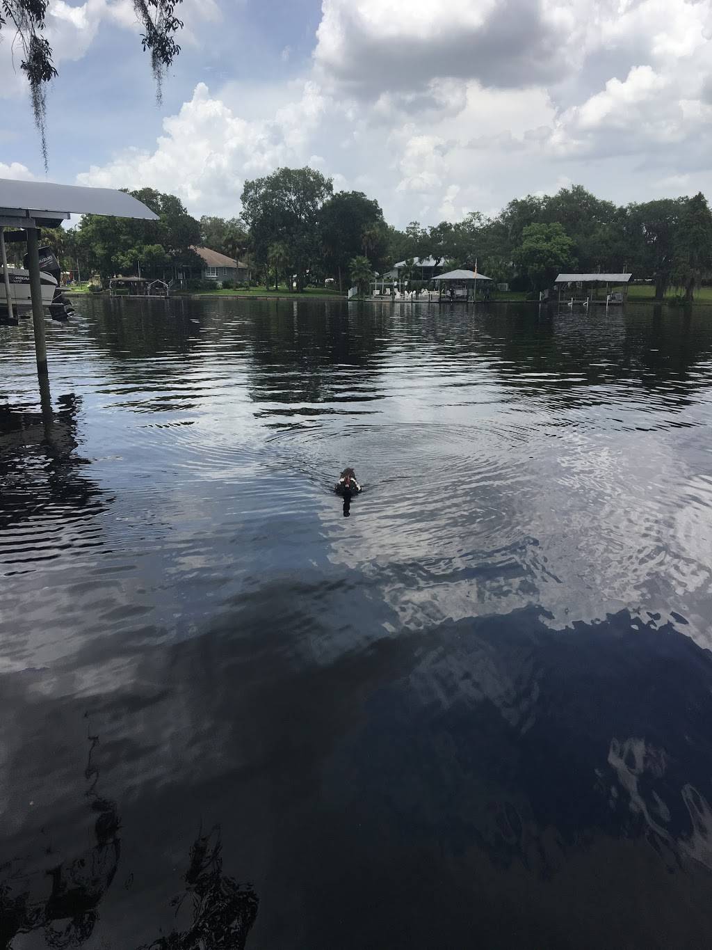 Dannys All American Burger "Beer Shed Location" | restaurant | Riverview, FL 33569, USA | 8137400606 OR +1 813-740-0606