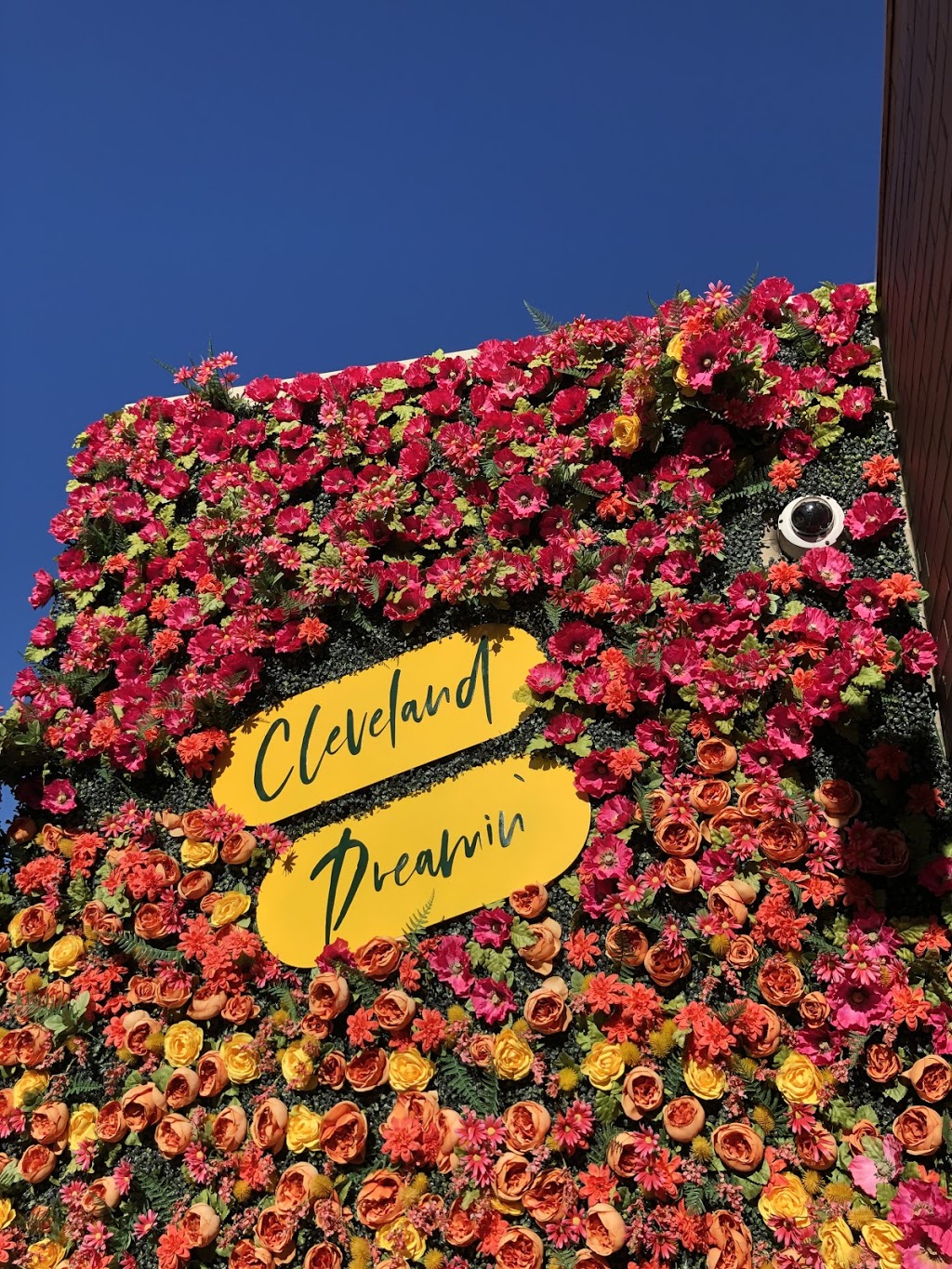 Azure | restaurant | 2017 E. 9th Street The 9 - Level 12, Cleveland, OH 44115, USA | 2162391200 OR +1 216-239-1200