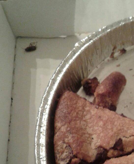 Papa Johns Pizza | restaurant | 2900 N State Rd 7, Lauderdale Lakes, FL 33313, USA | 9547307272 OR +1 954-730-7272