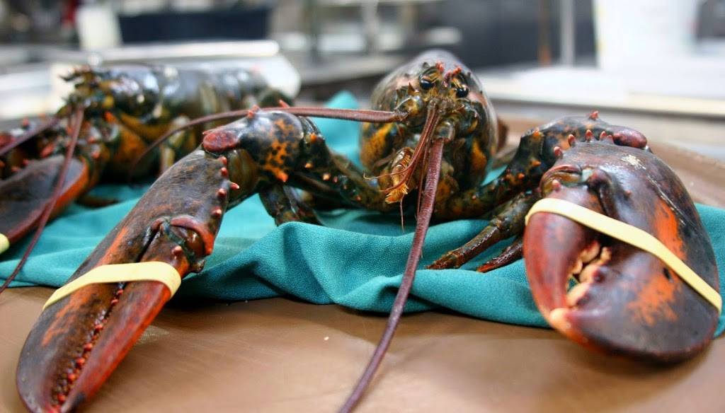 Normandie Farm Restaurant | restaurant | 10710 Falls Rd, Potomac, MD 20854, USA | 3019838838 OR +1 301-983-8838