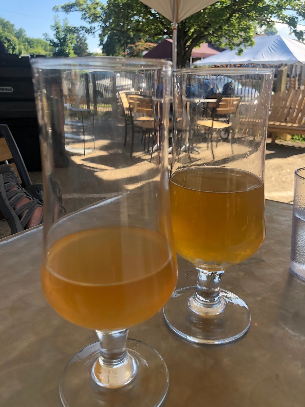 Elation Brewing | cafe | 5104 Colley Ave, Norfolk, VA 23508, USA | 7574526584 OR +1 757-452-6584