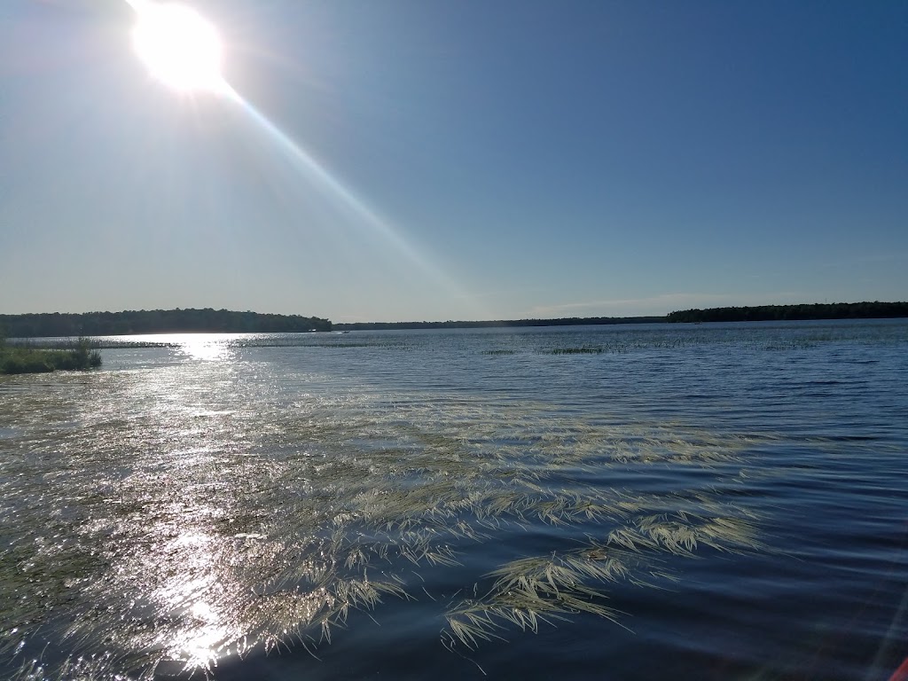 Banns Bar & Restaurant | restaurant | 18870 Goshawk St, McGregor, MN 55760, USA | 2184263450 OR +1 218-426-3450