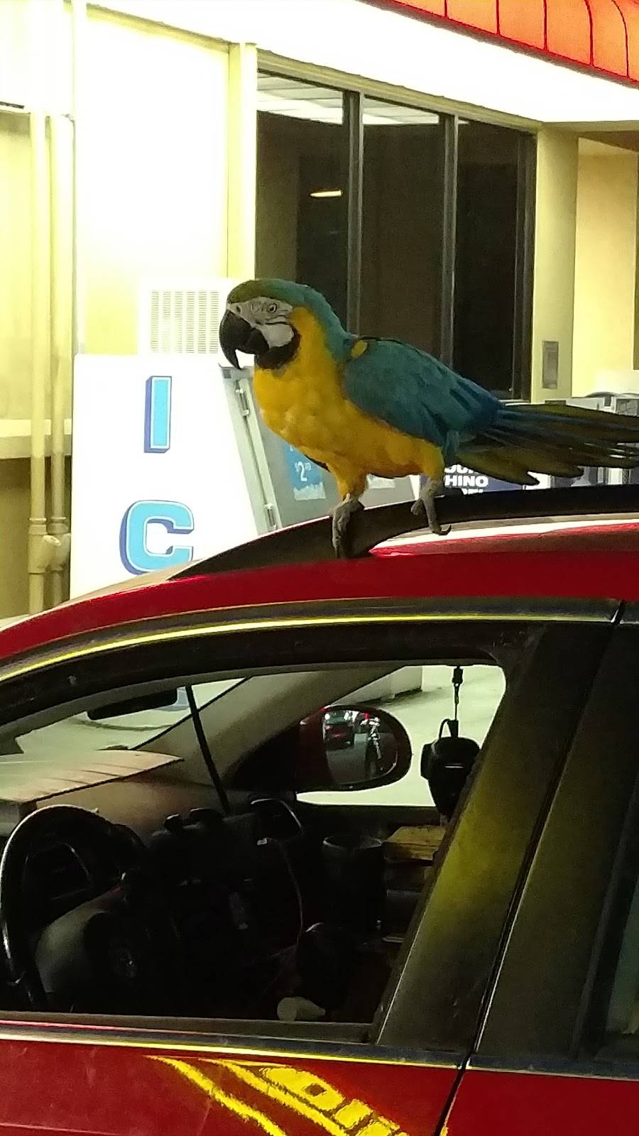 Pilot Travel Center | restaurant | 2320 TN-46 S, Dickson, TN 37055, USA | 6154464600 OR +1 615-446-4600