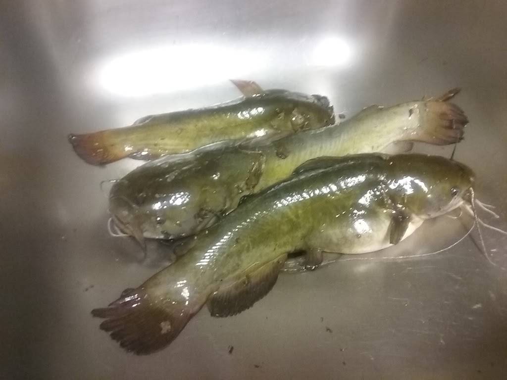 Tortilleria Quiroga | restaurant | 2002 S Edgefield Ave, Dallas, TX 75224, USA | 2149438661 OR +1 214-943-8661