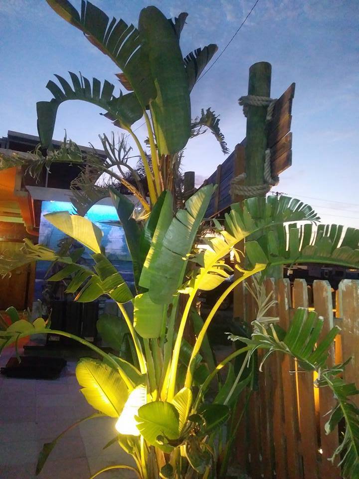 Tipsy Tiki | restaurant | 658 N 2nd St, Fort Pierce, FL 34950, USA | 7726724769 OR +1 772-672-4769