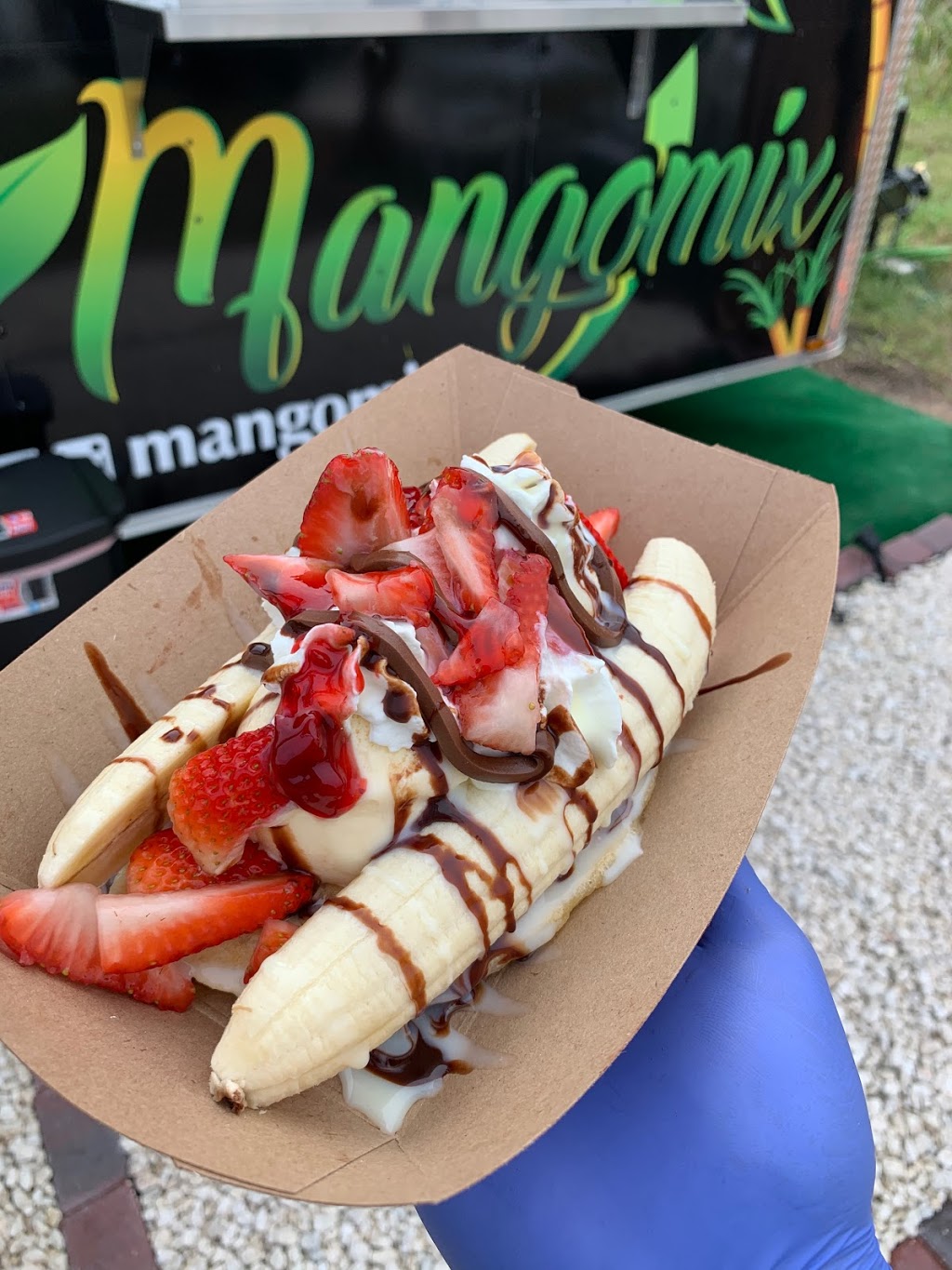 Mangomix | restaurant | 12859 US-301, Riverview, FL 33578, USA | 8132448559 OR +1 813-244-8559