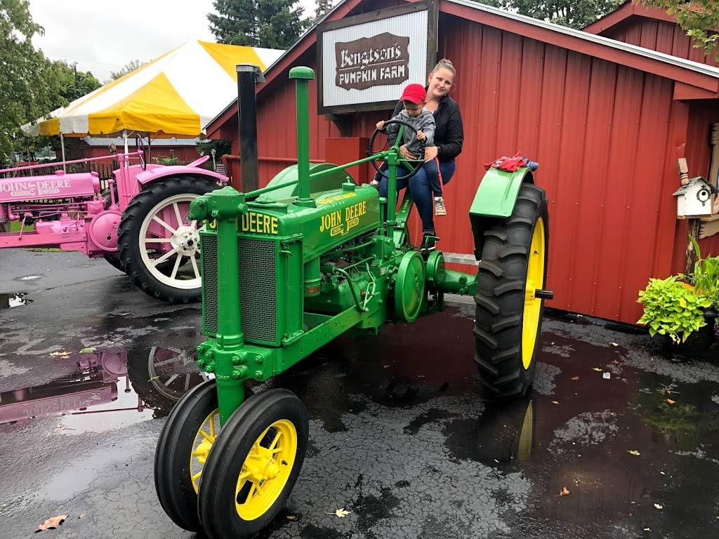 Bengtsons Pumpkin Farm and Fall Fest | meal takeaway | 13341 W 151st St, Homer Glen, IL 60491, USA | 7083013276 OR +1 708-301-3276