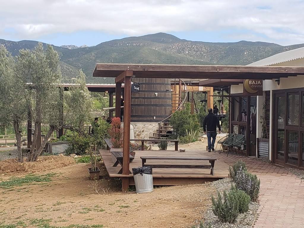 Finca Altozano | restaurant | Carretera Tecate - Ensenada Km 83 Ejido, Francisco Zarco, 22750 Valle de Guadalupe, B.C., Mexico | 016461568045 OR +52 646 156 8045