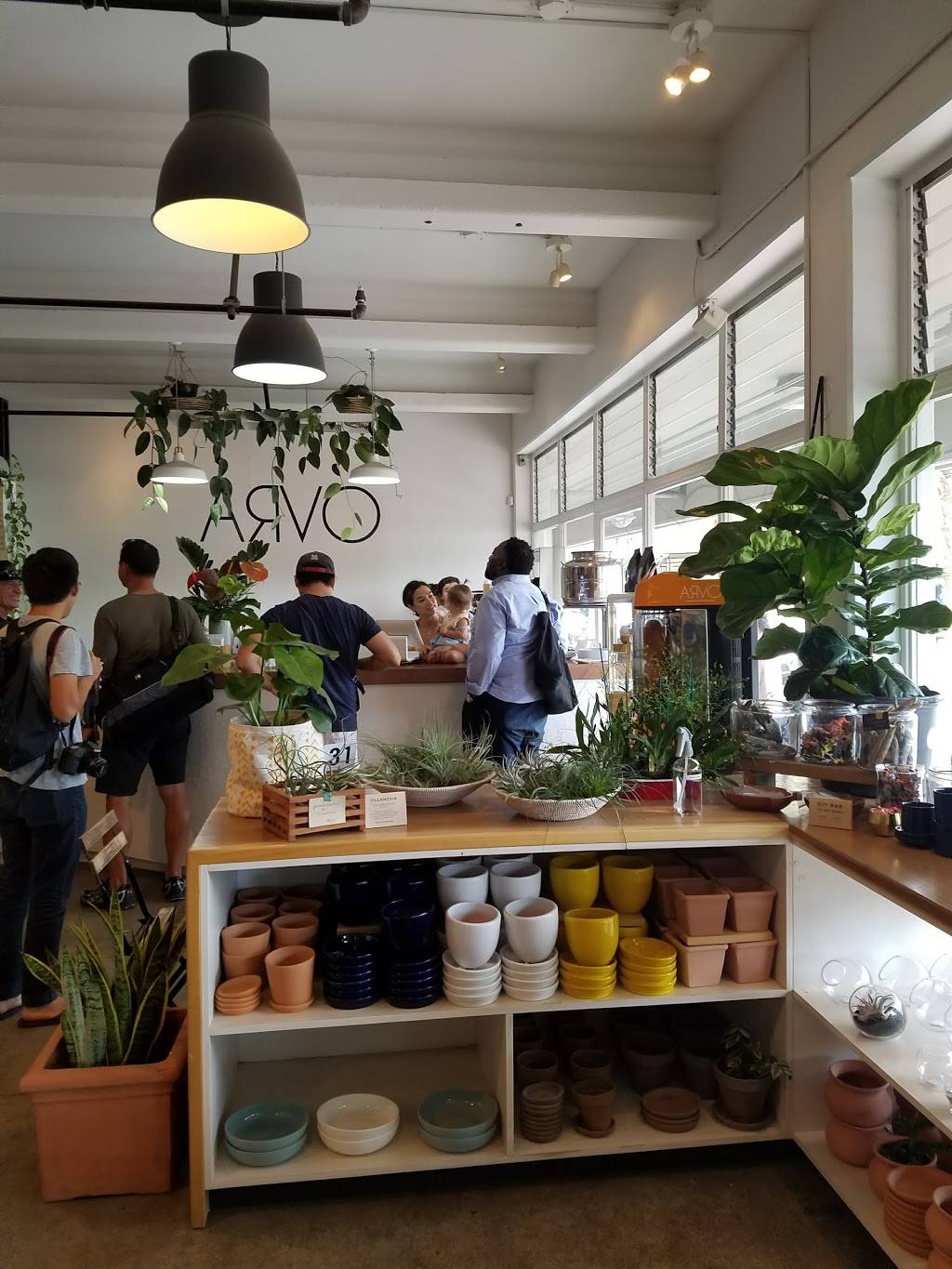 Arvo Cafe | cafe | 324 Coral Street Suite 1A-104b, Honolulu, HI 96813, USA | 8083123979 OR +1 808-312-3979