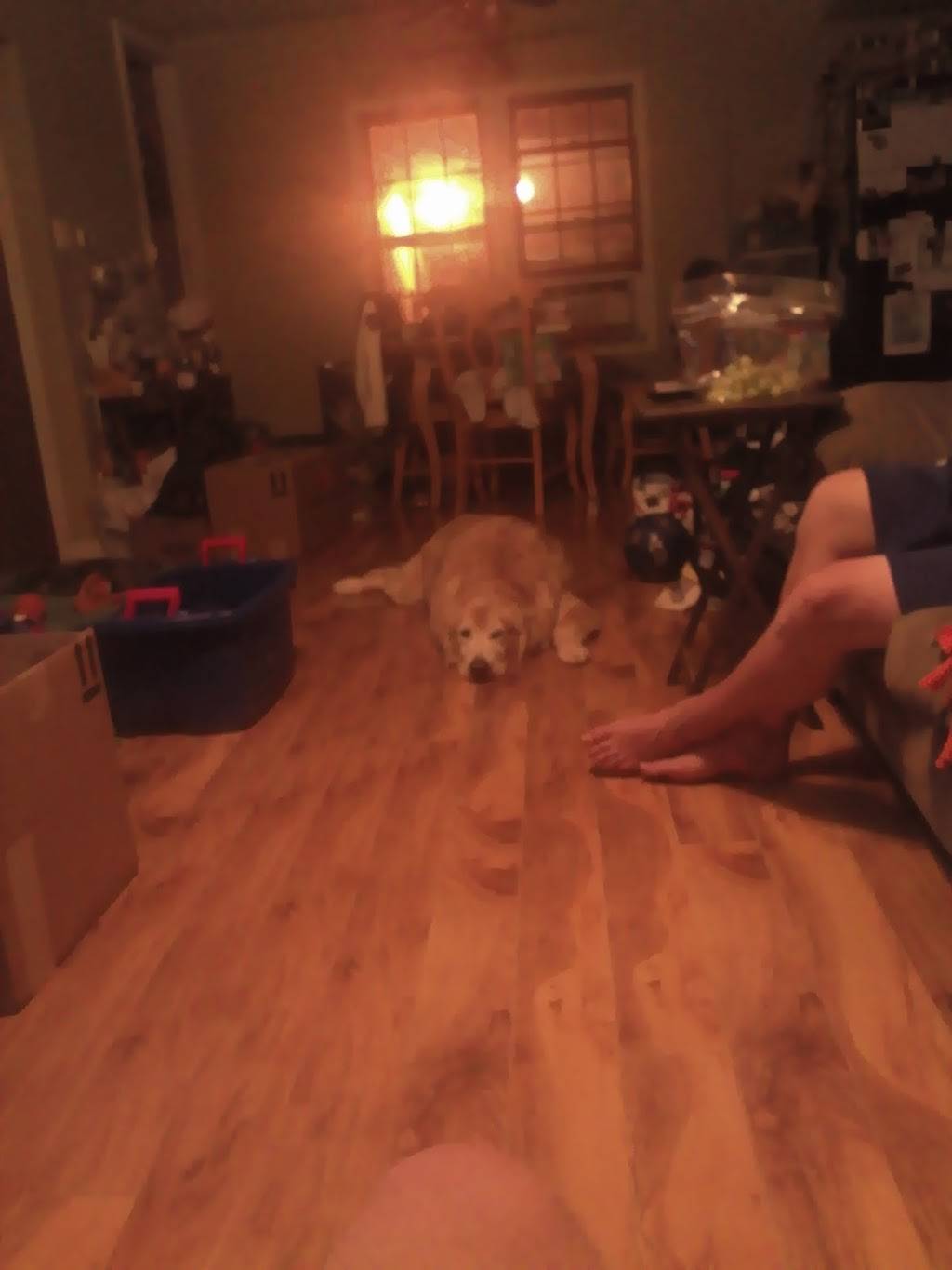 Rinaldi Pizza & Sub Shop | restaurant | 14675 16th Ave, Marne, MI 49435, USA | 6166771281 OR +1 616-677-1281