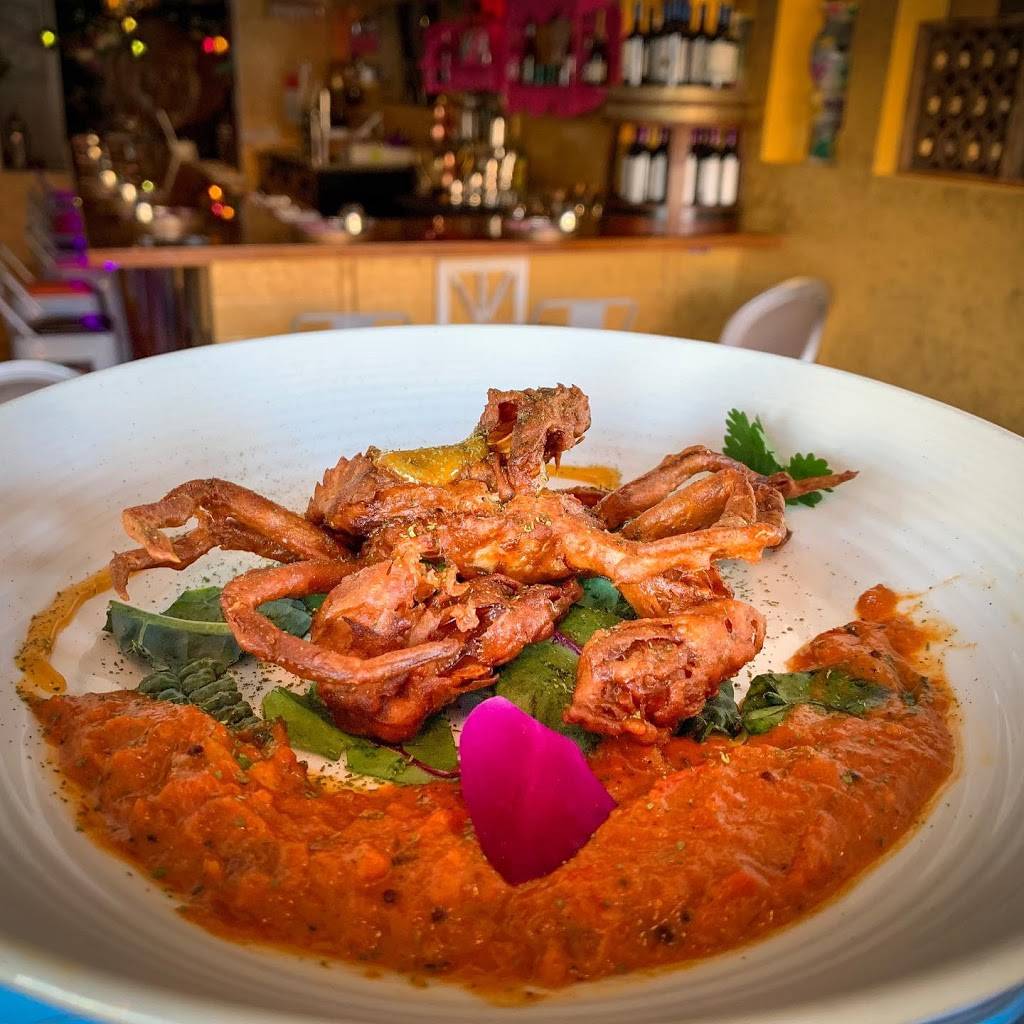 Curryosity | restaurant | 3023 Juniper St, San Diego, CA 92104, USA | 6192550660 OR +1 619-255-0660