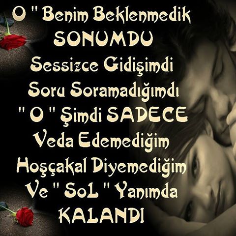 İşletmem | restaurant | 1599 Amphitheatre Pkwy, Mountain View, CA 94041, USA | 2015550100 OR +1 201-555-0100