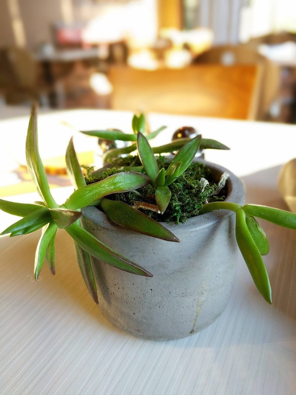 Served | restaurant | 1770 W Horizon Ridge Pkwy, Henderson, NV 89012, USA | 7022630136 OR +1 702-263-0136