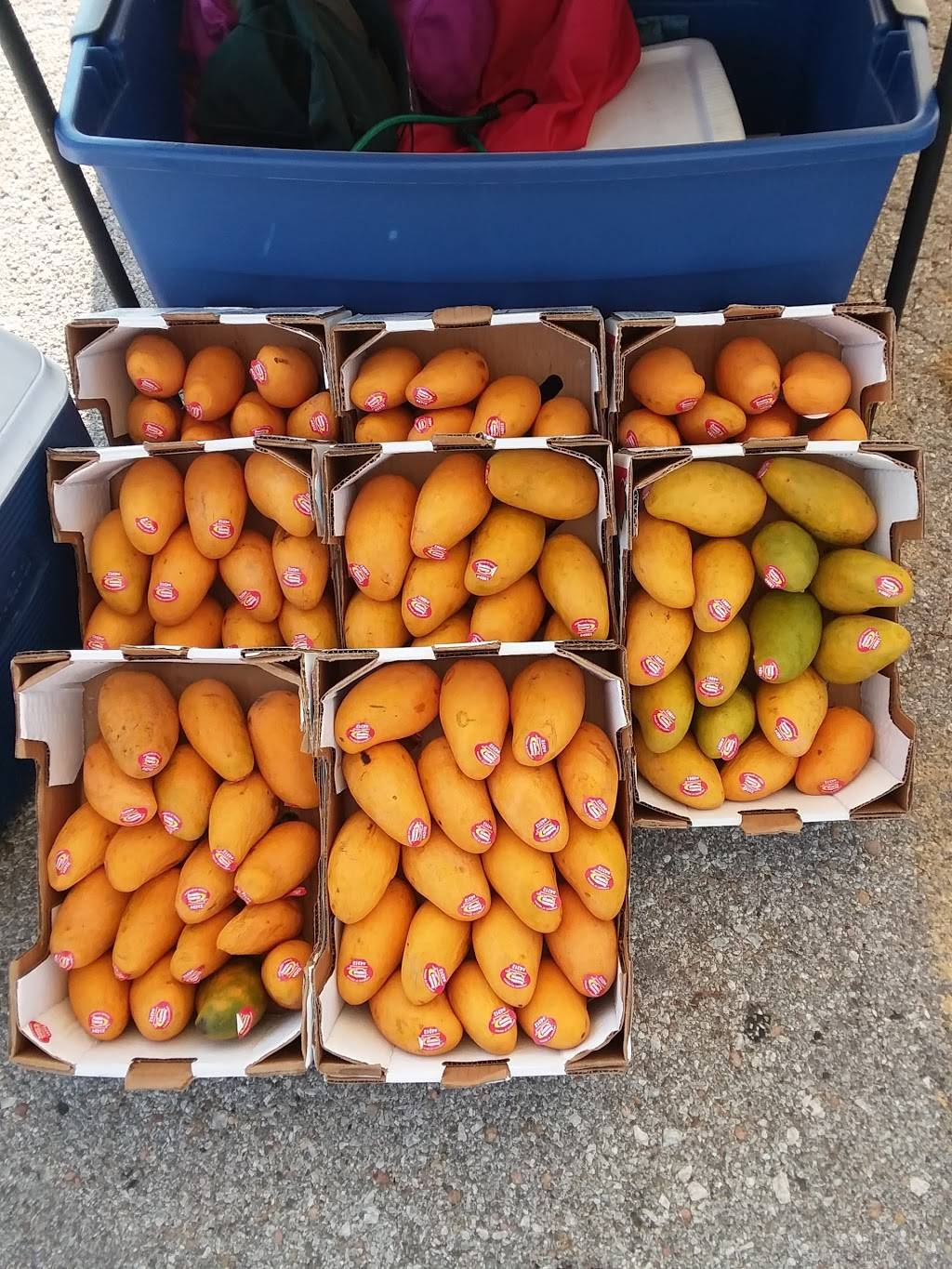 El Rinconcito | restaurant | 2308 N St, Omaha, NE 68107, USA | 4029915452 OR +1 402-991-5452