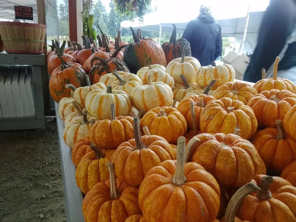 Allium | restaurant | 1914 Willamette Falls Dr, West Linn, OR 97068, USA | 5033875604 OR +1 503-387-5604