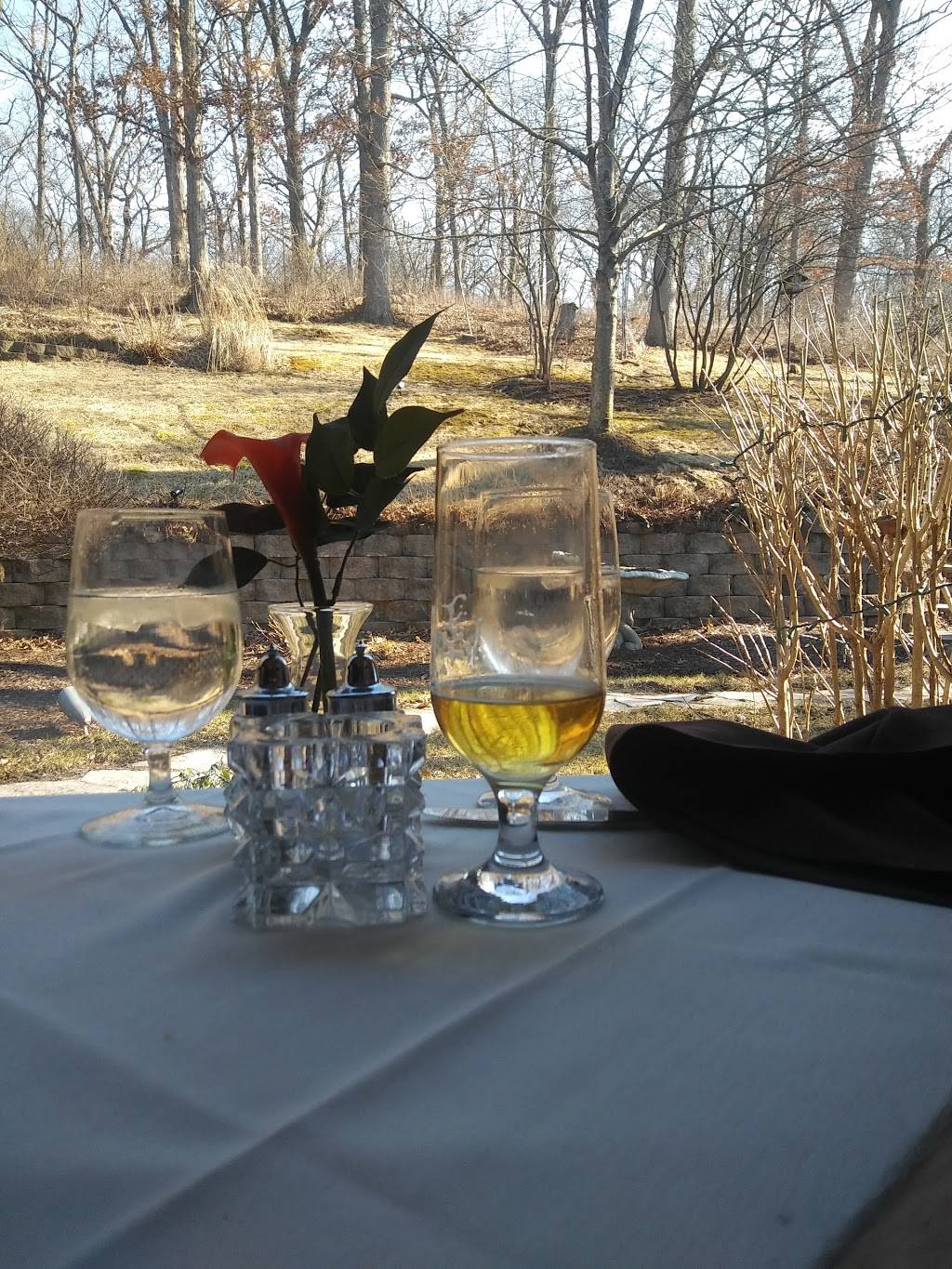 Jens Guesthouse | restaurant | 8989 Archer Ave, Willow Springs, IL 60480, USA | 7088398000 OR +1 708-839-8000