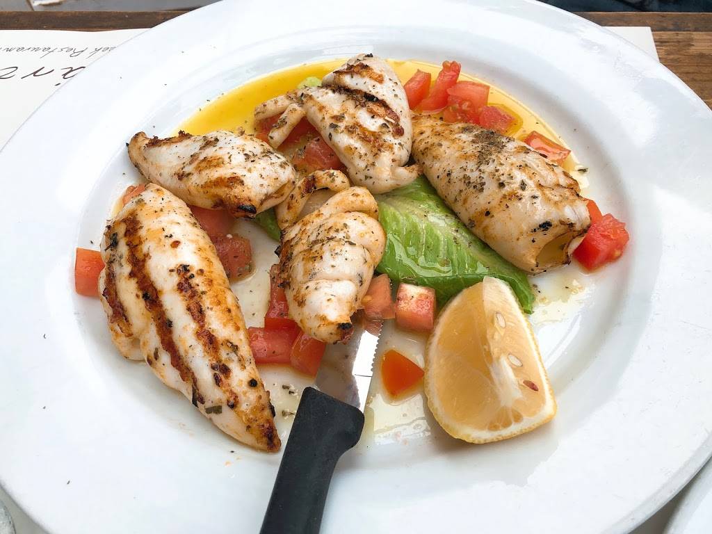 Agnanti | restaurant | 19-06 Ditmars Blvd, Astoria, NY 11105, USA | 7185454554 OR +1 718-545-4554