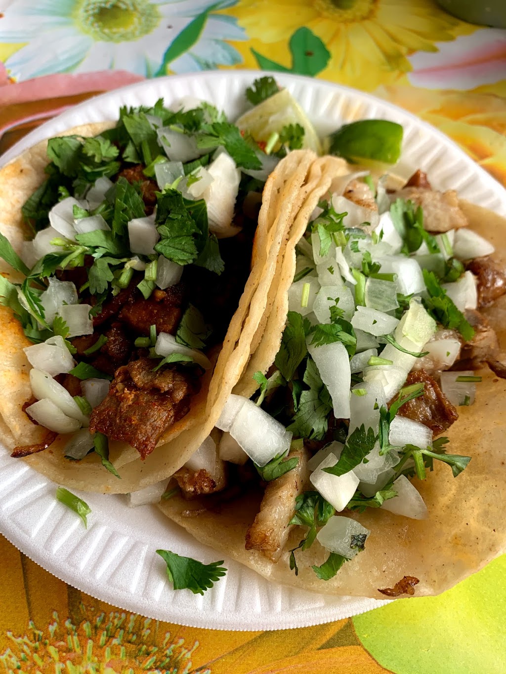 Orale Taqueria | restaurant | 342 Cranston St, Providence, RI 02907, USA | 4015168458 OR +1 401-516-8458