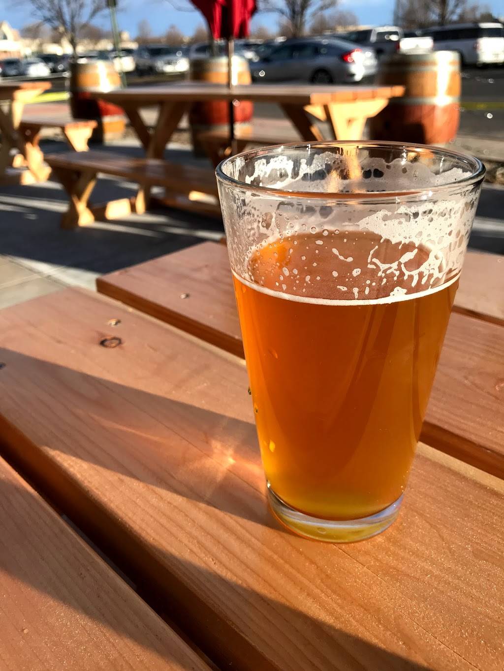 Frolic Brewing Company | restaurant | 12910 Zuni St Suite 1300, Westminster, CO 80234, USA | 3039937443 OR +1 303-993-7443