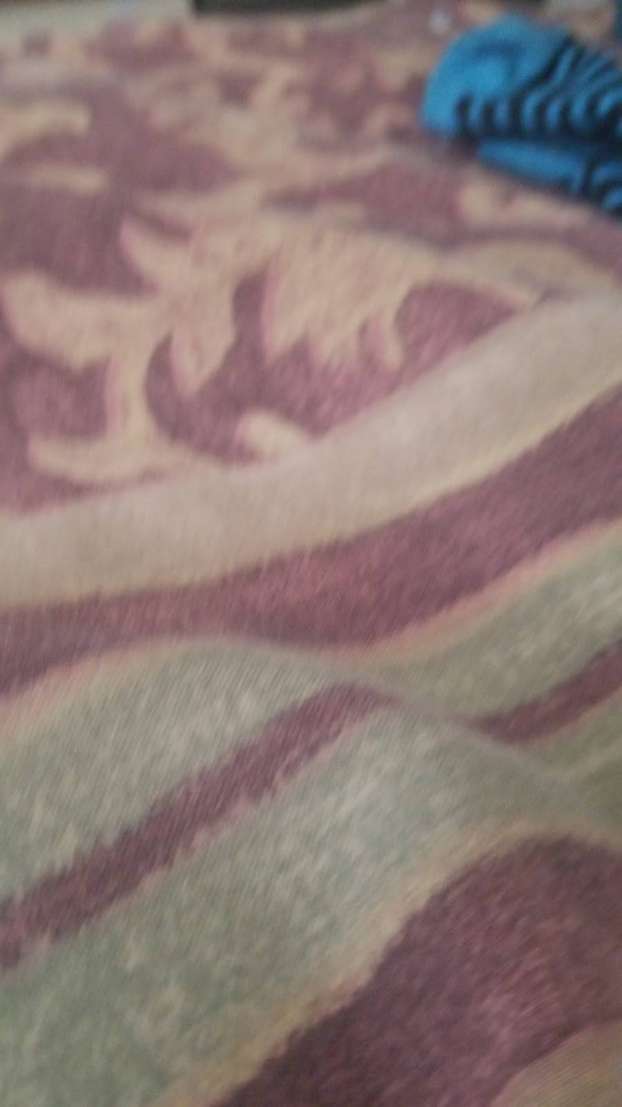 Garnachas Rivera | restaurant | Carrboro, NC 27510, USA | 9193700636 OR +1 919-370-0636