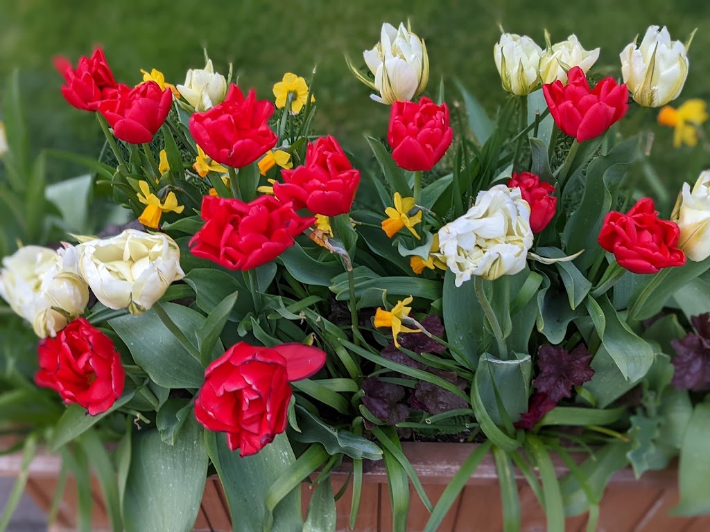 Screw and Brew | restaurant | 1287 S Hemlock St, Cannon Beach, OR 97110, USA | 5034364086 OR +1 503-436-4086