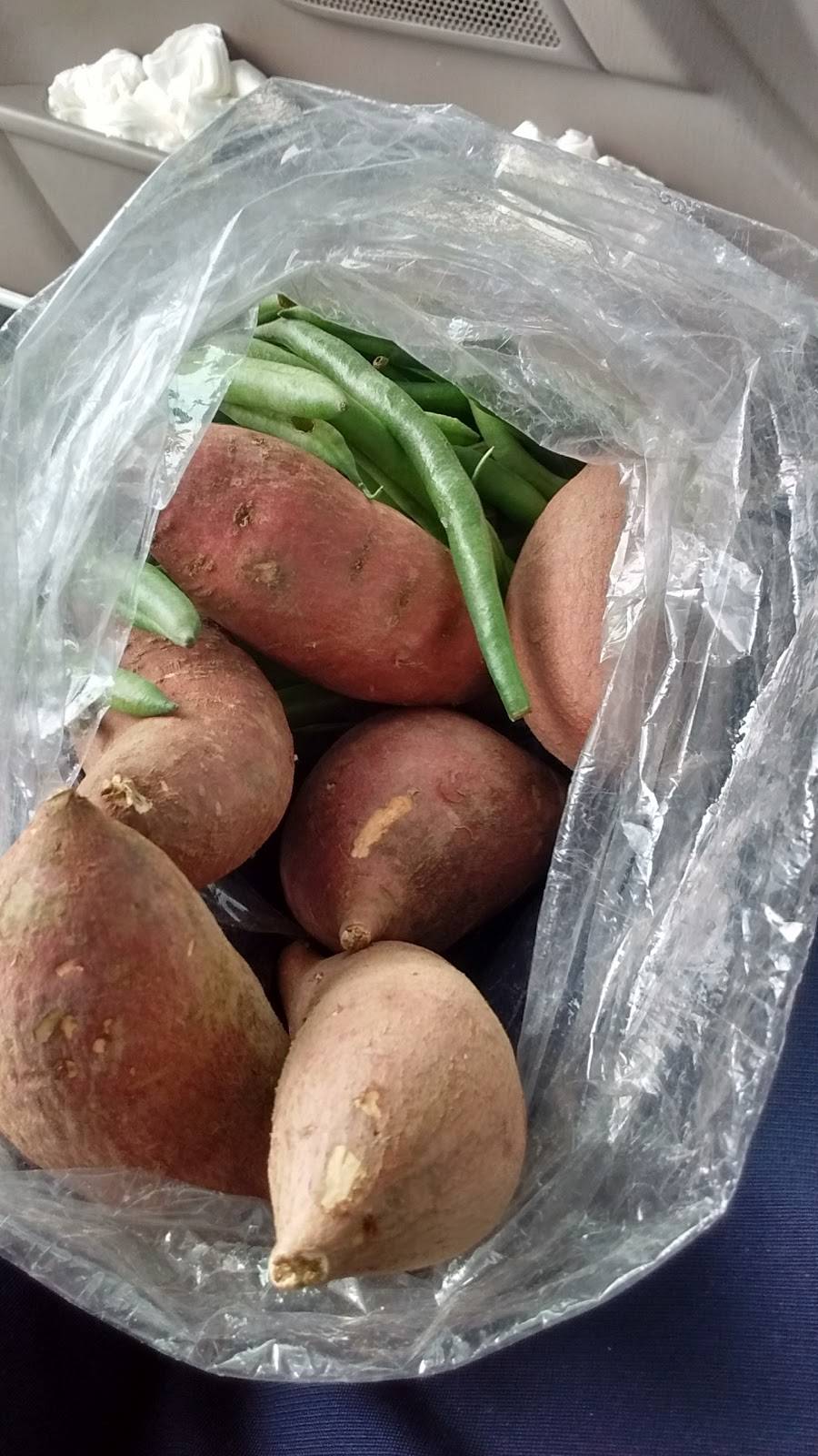 New York Pizza | meal delivery | 22 N White Rd, San Jose, CA 95127, USA | 4082544400 OR +1 408-254-4400