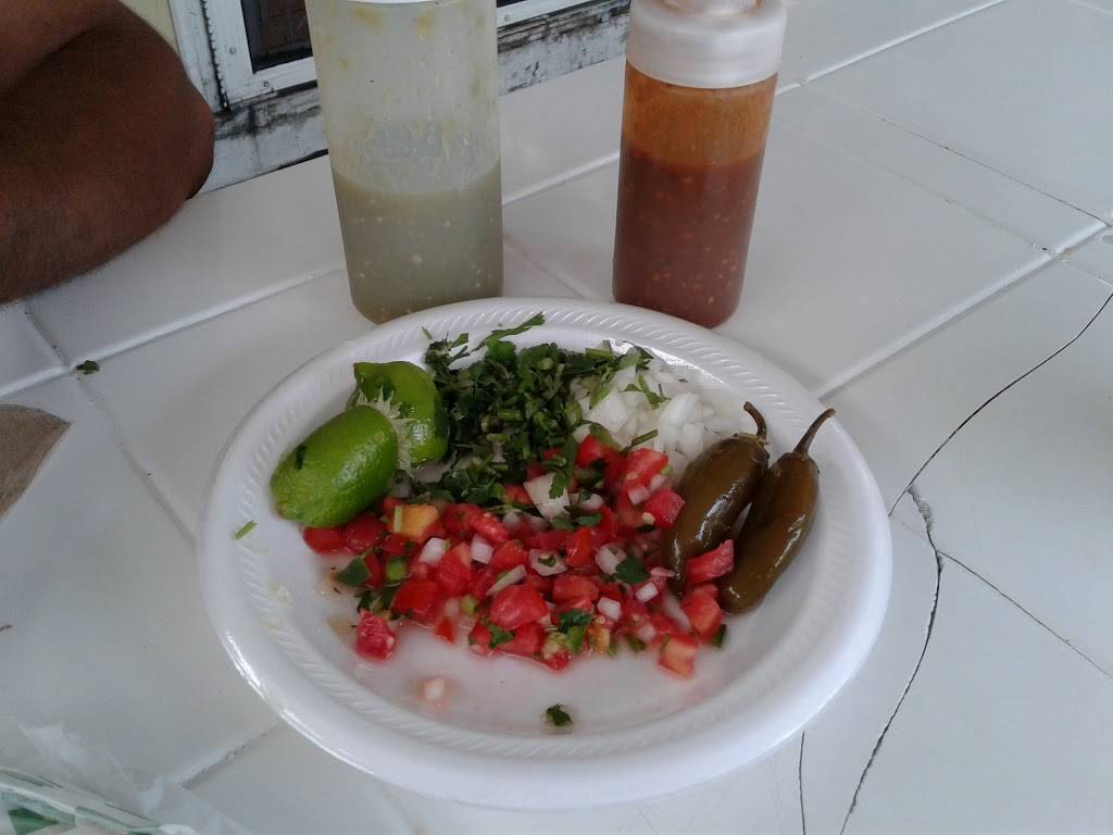 Tortilleria El Gayo | restaurant | 13616 E US-92, Dover, FL 33527, USA | 8137591917 OR +1 813-759-1917