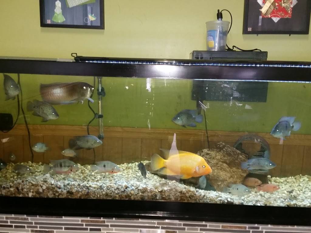 Sushi Time | restaurant | 2359 Millersport Hwy #1221, Getzville, NY 14068, USA | 7169327357 OR +1 716-932-7357