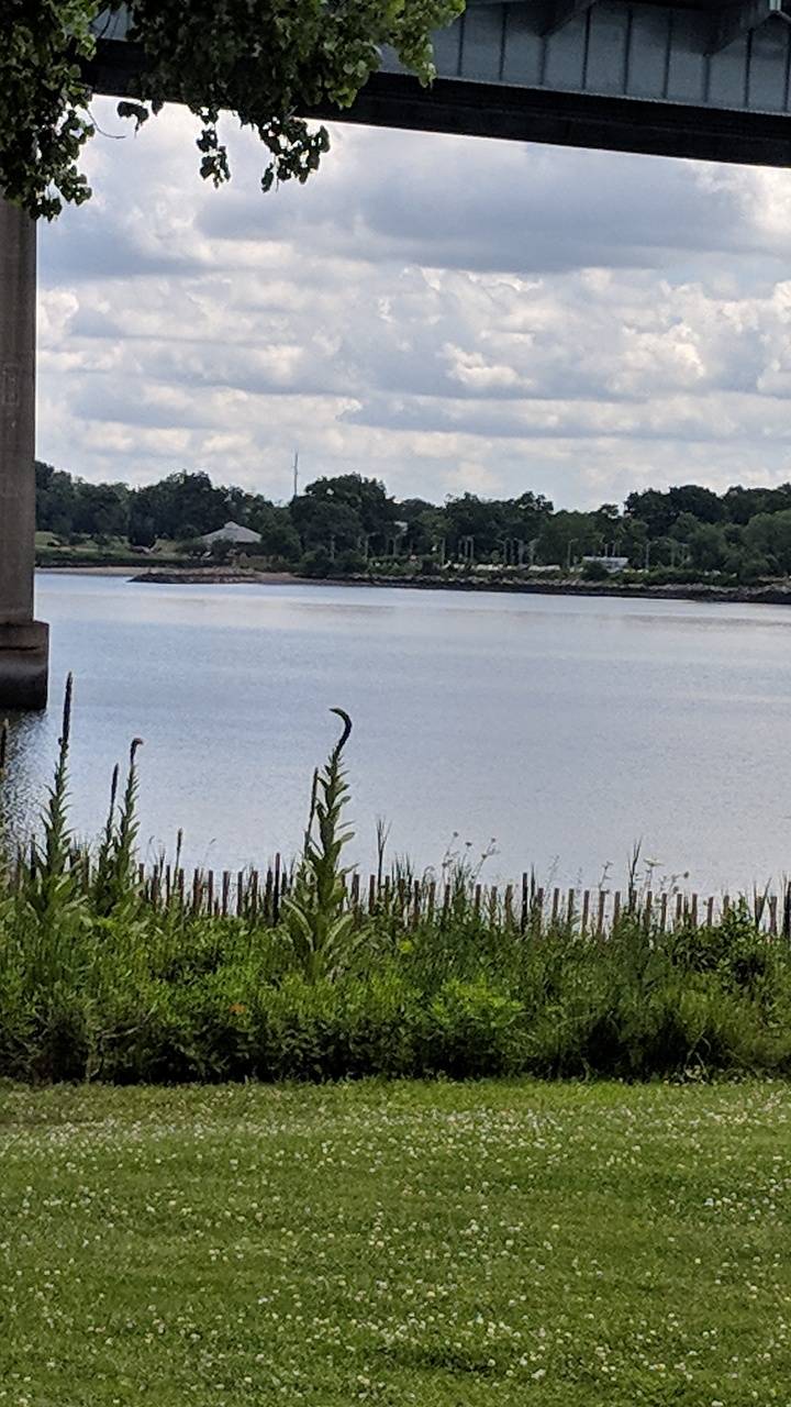 Buona Forchetta | meal takeaway | 168-68 9th Ave, Whitestone, NY 11357, USA | 7187672000 OR +1 718-767-2000