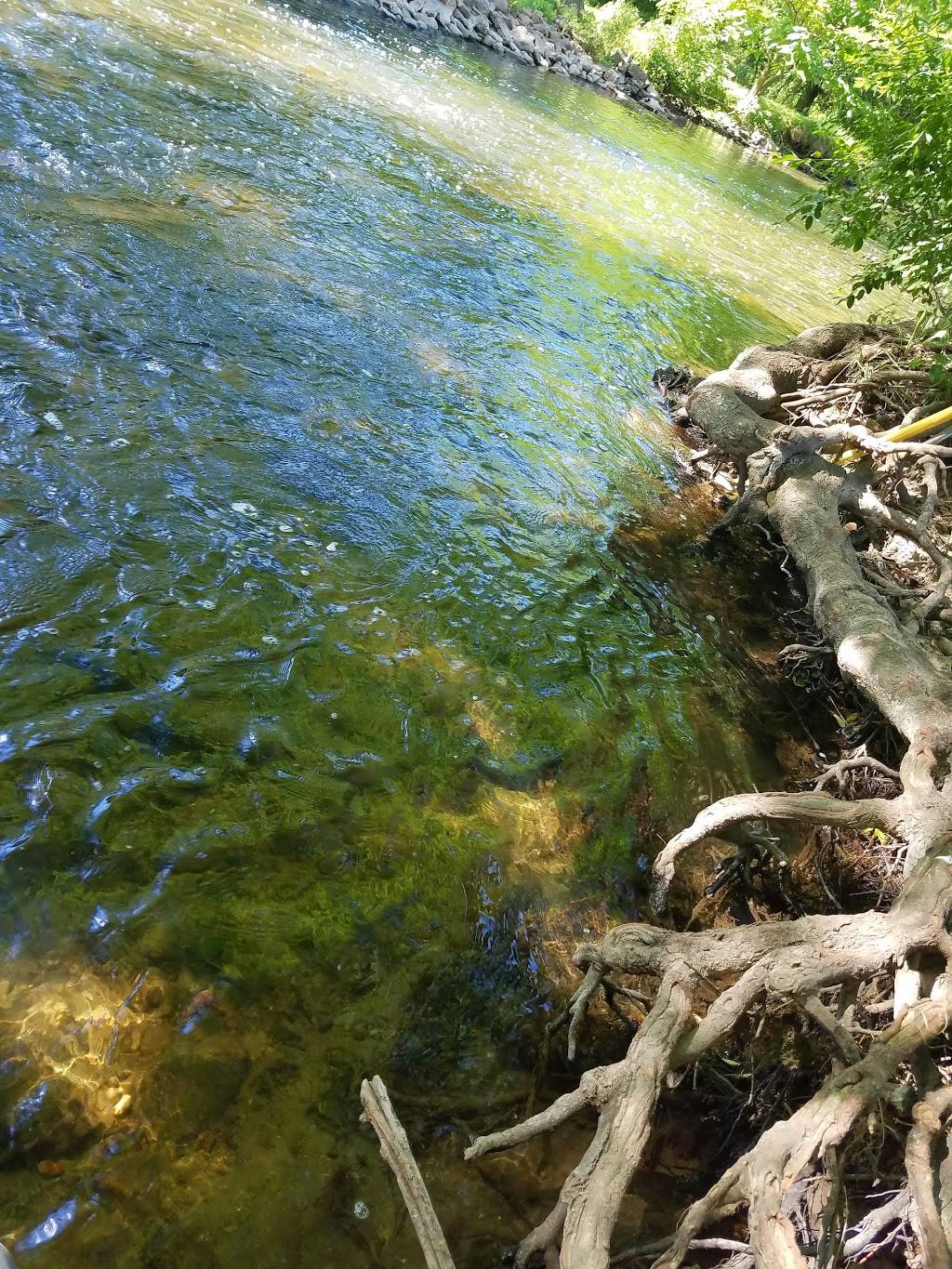 Subway Restaurants | restaurant | 3279 Auburn Rd, Auburn Hills, MI 48326, USA | 2482994431 OR +1 248-299-4431