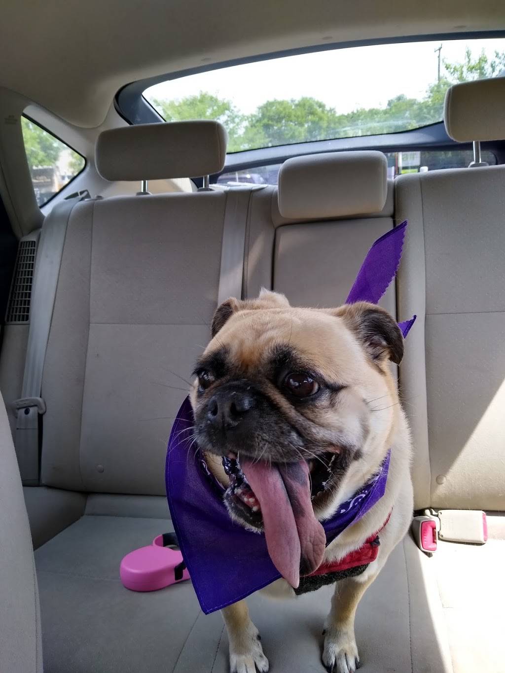 Bridgewater House of Pizza | restaurant | 33 Main St, Bridgewater, MA 02324, USA | 5086974862 OR +1 508-697-4862