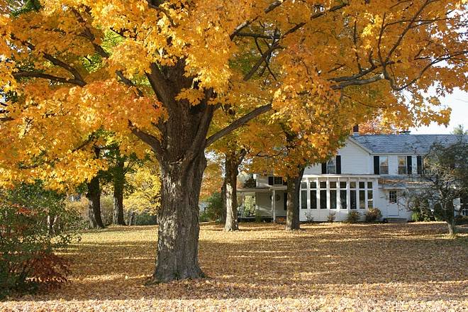 Inn at West View Farm | restaurant | 2928 VT-30, Dorset, VT 05251, USA | 8028675715 OR +1 802-867-5715