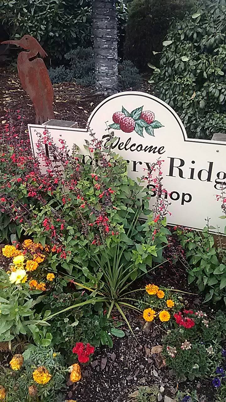 Raspberry Ridge Grill | restaurant | 6827 Hannegan Rd, Everson, WA 98247, USA | 3603543368 OR +1 360-354-3368