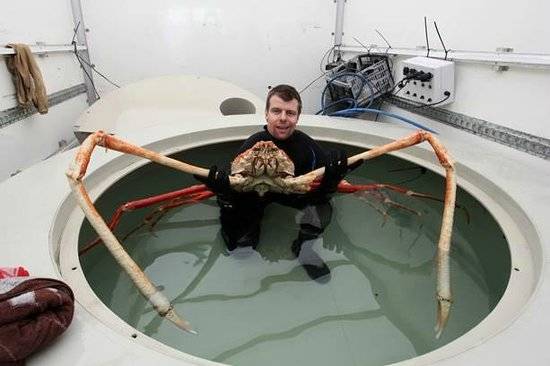 Hôtel des Monts | night club | 1340 Rue Saint Joseph, Sainte-Adèle, QC J8B 1G4, Canada | 4502294980 OR +1 450-229-4980