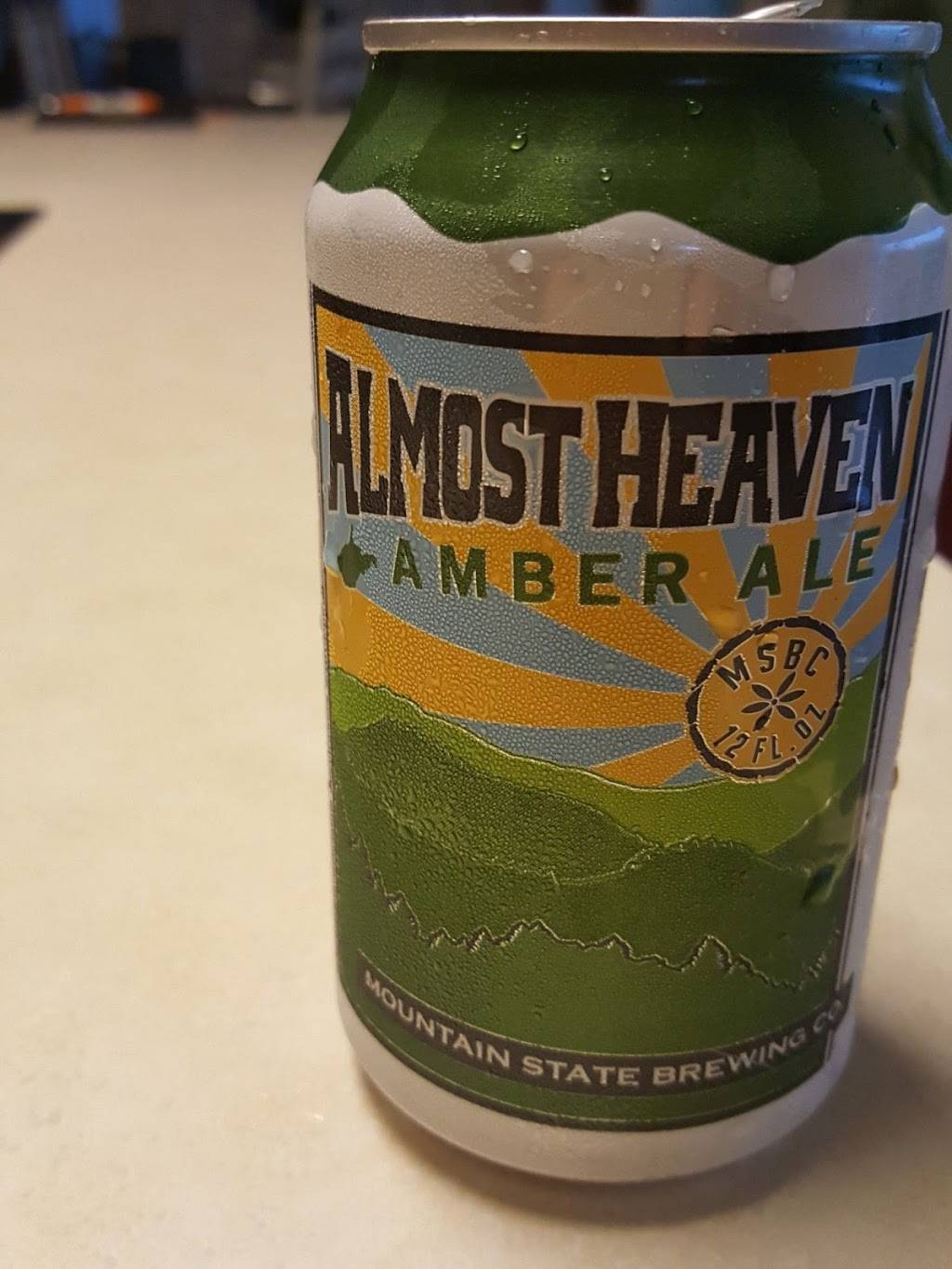 Mountain State Brewing Co | restaurant | 1 Nelson Blvd, Thomas, WV 26292, USA | 3044634500 OR +1 304-463-4500