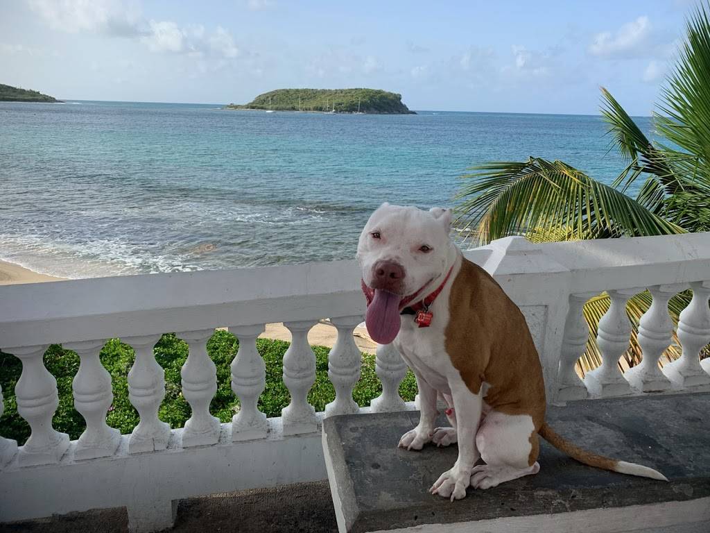 Starbucks | cafe | 925 Kings Hwy, Port Charlotte, FL 33980, USA | 9417433834 OR +1 941-743-3834