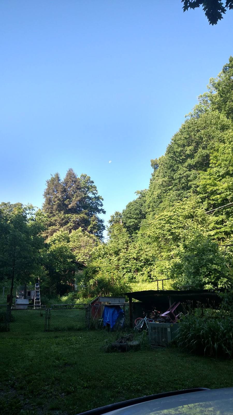 Subway | restaurant | 590 Trent St NE, Norton, VA 24273, USA | 2766793050 OR +1 276-679-3050