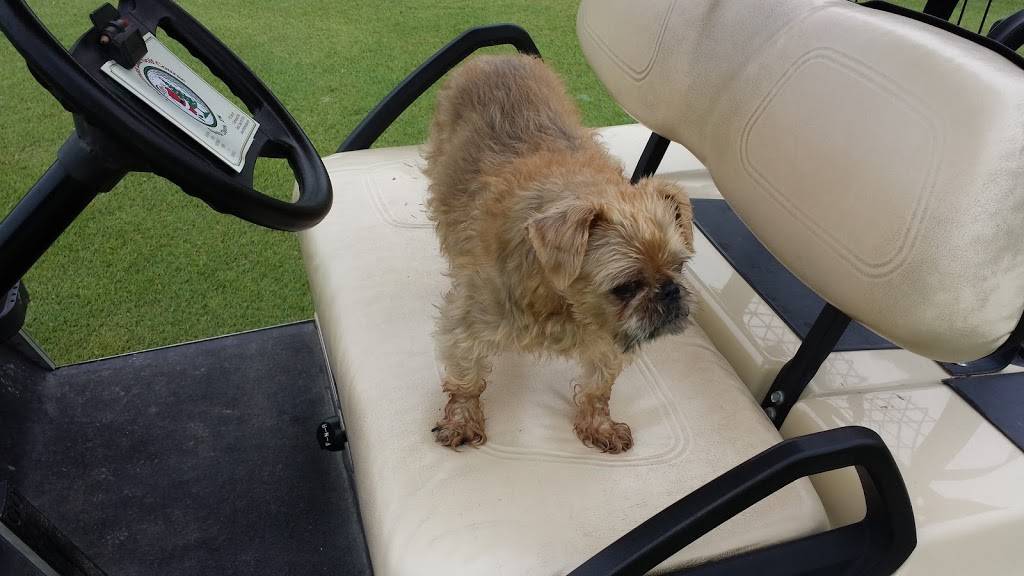 Christmas Lake Golf Course | restaurant | 1 Clubhouse Rd, Santa Claus, IN 47579, USA | 8779627465 OR +1 877-962-7465