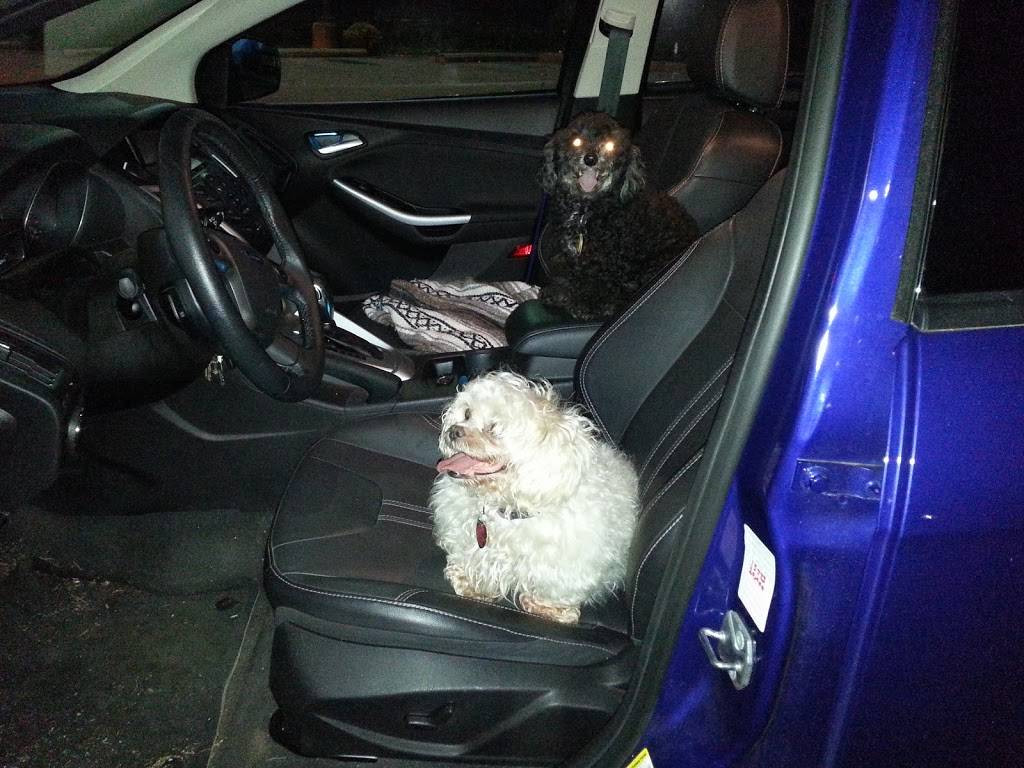 Subway | restaurant | 1678 Hwy 72 E, Huntsville, AL 35811, USA | 2568521502 OR +1 256-852-1502