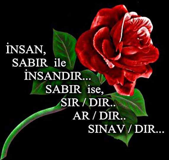 İşletmem | restaurant | 1599 Amphitheatre Pkwy, Mountain View, CA 94041, USA | 2015550100 OR +1 201-555-0100