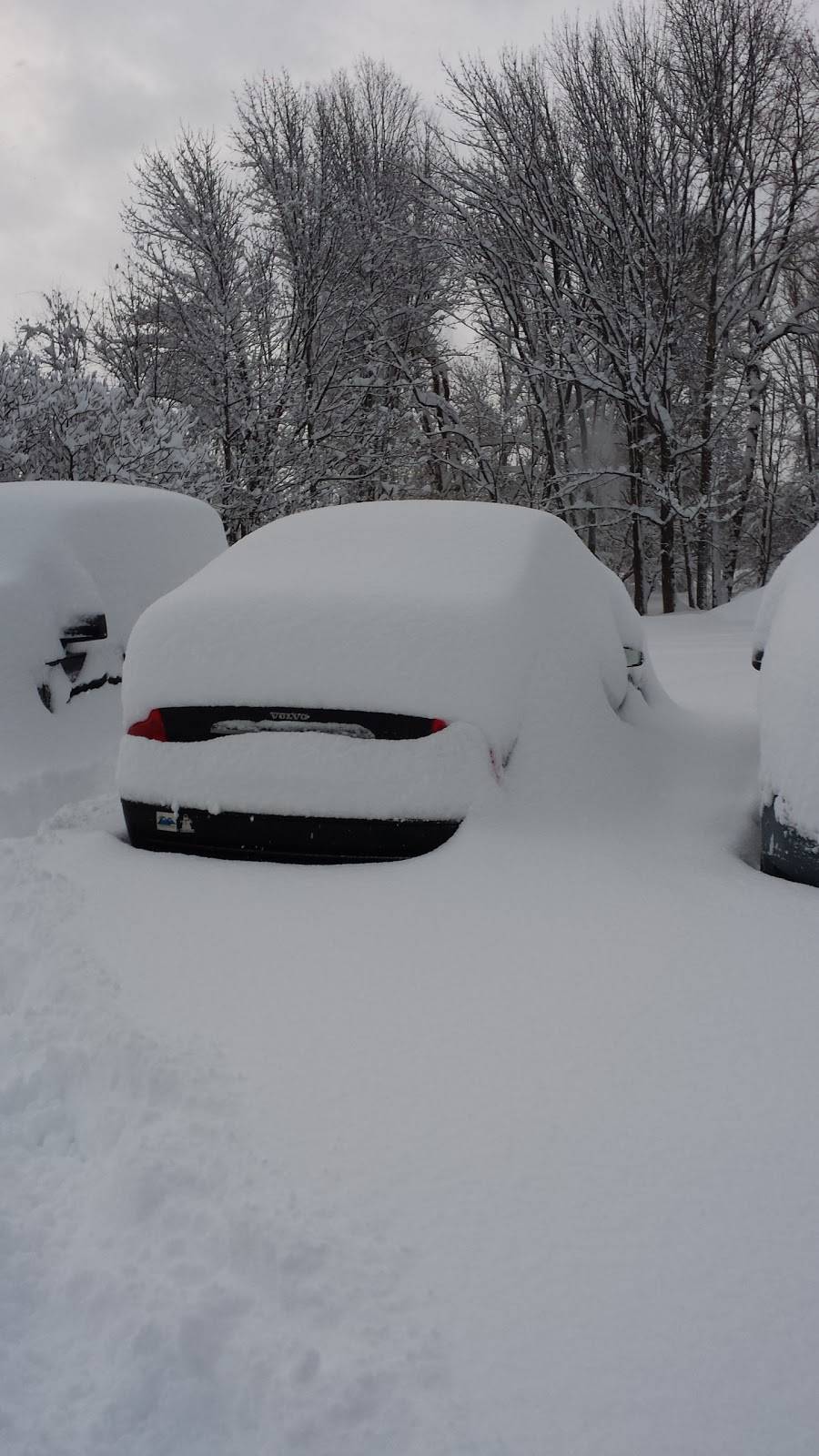 Sticks Sports Bar & Grill Motel | restaurant | 3738 County Rte 6, Oswego, NY 13126, USA | 3159633084 OR +1 315-963-3084