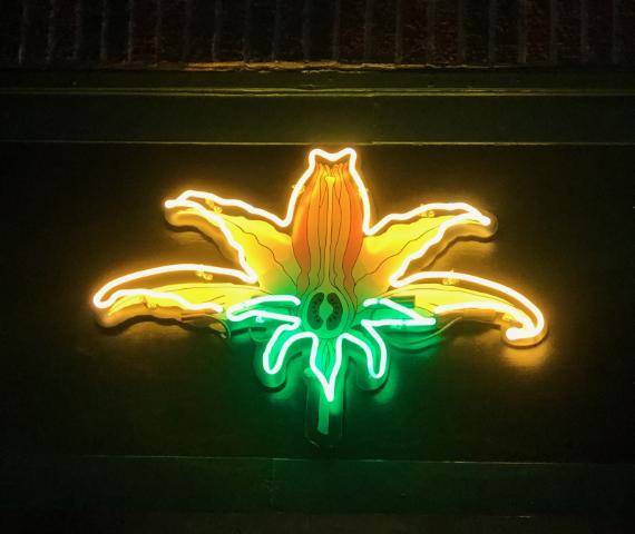 Nightshade Noodle Bar | restaurant | 73 Exchange St, Lynn, MA 01901, USA | 7817809470 OR +1 781-780-9470