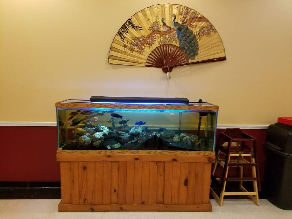 New Orient Express | restaurant | 2859 N Ridge Rd E, Ashtabula, OH 44004, USA | 4409982191 OR +1 440-998-2191