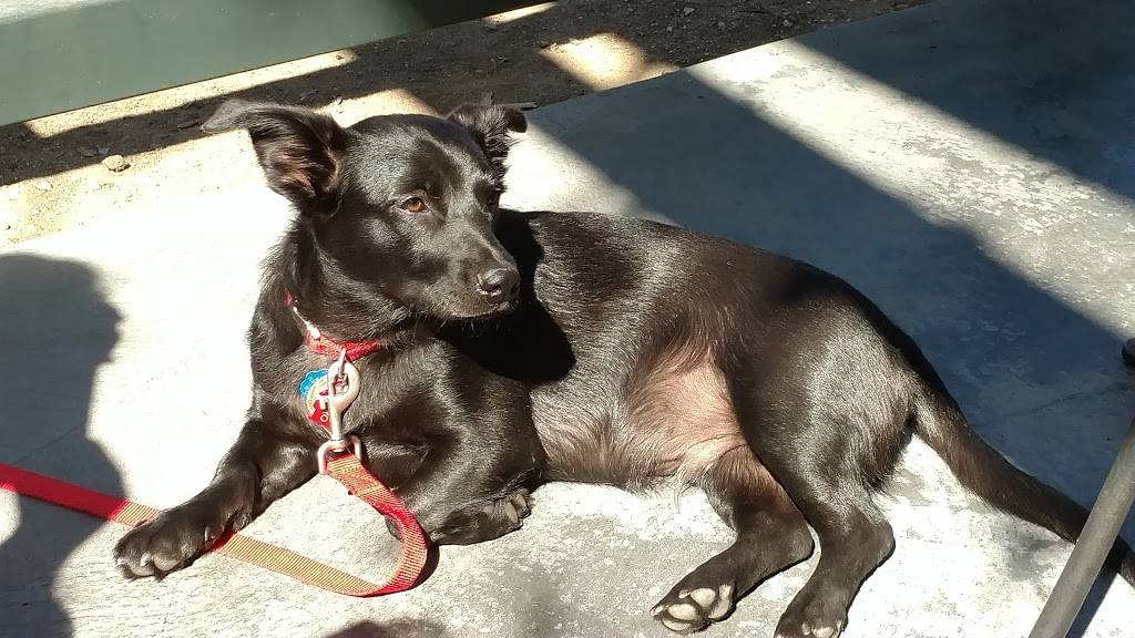 Fourth Street Mill | restaurant | 2124 Bonita Ave, La Verne, CA 91750, USA | 9095961564 OR +1 909-596-1564