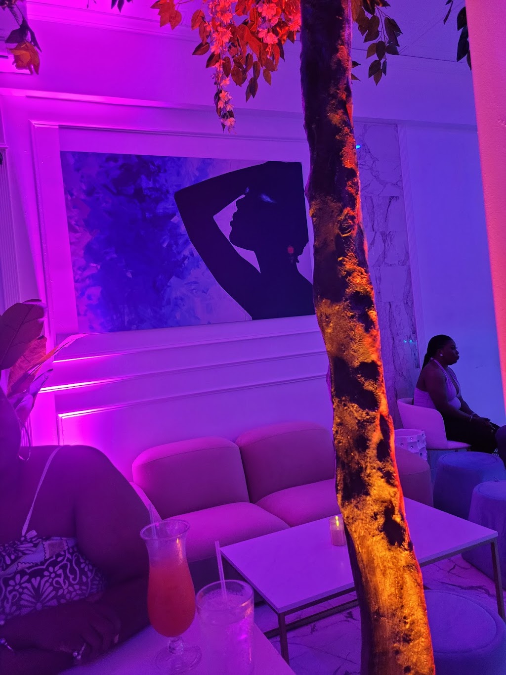 CK & Lounge | night club | 3524 Crain Hwy, Bowie, MD 20716, USA | 2403042454 OR +1 240-304-2454