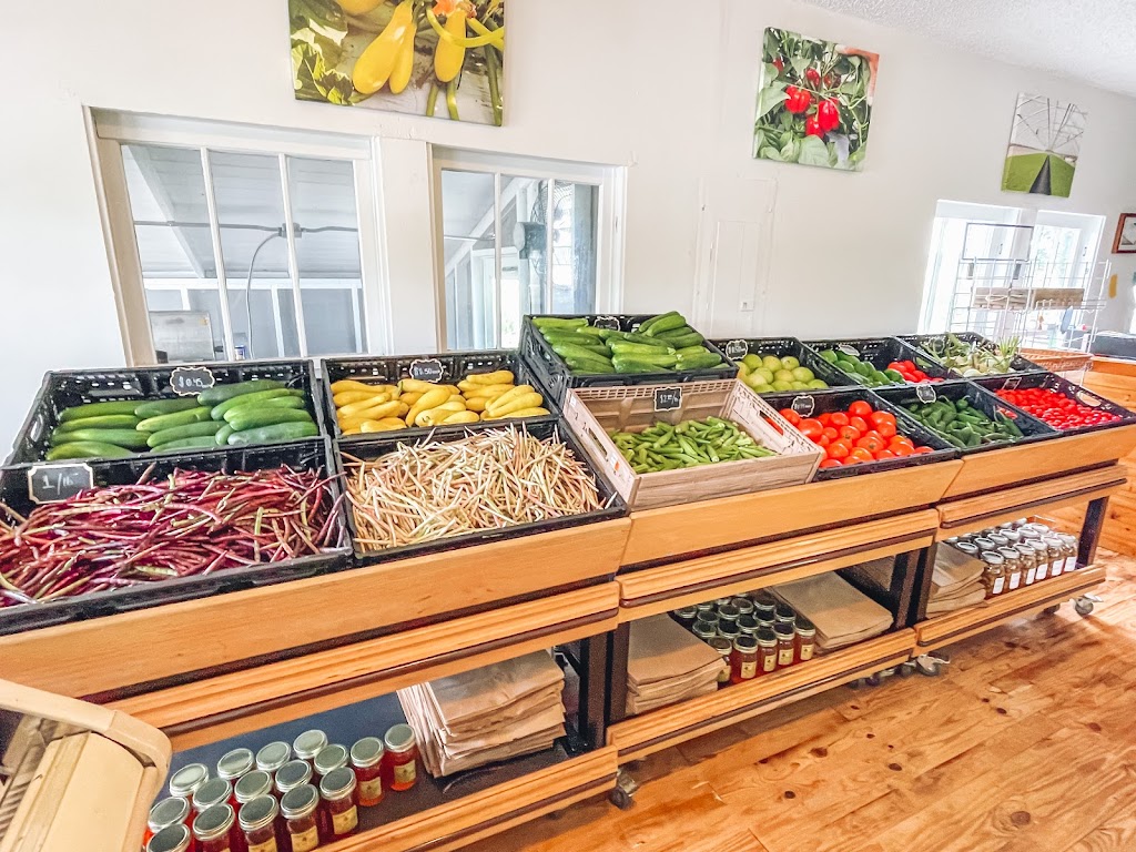 The Farm Stand | restaurant | 27687 US-129, Branford, FL 32008, USA | 3863399443 OR +1 386-339-9443