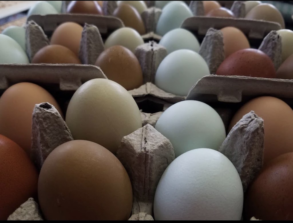 For His Glory Farm | restaurant | Lancewood Cir S, Port Orange, FL 32127, USA | 3863104047 OR +1 386-310-4047