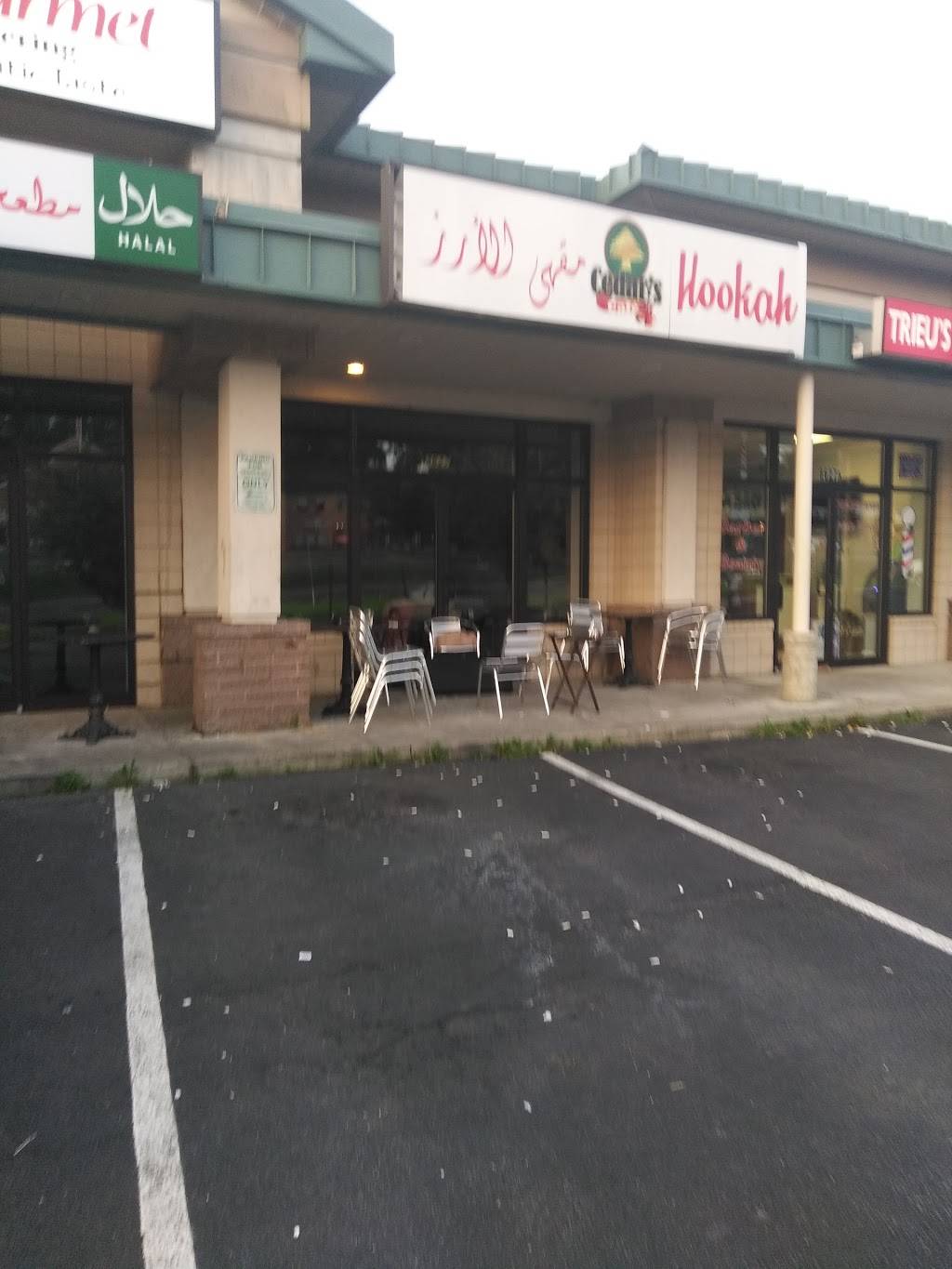 Cedars Restaurant & Chicha Lounge | cafe | 8625 Lee Hwy, Fairfax, VA 22031, USA | 7032044547 OR +1 703-204-4547