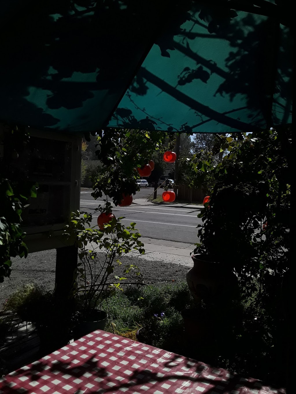 Grandmas Frosty | restaurant | 319 Main St, Loyalton, CA 96118, USA | 5309931192 OR +1 530-993-1192