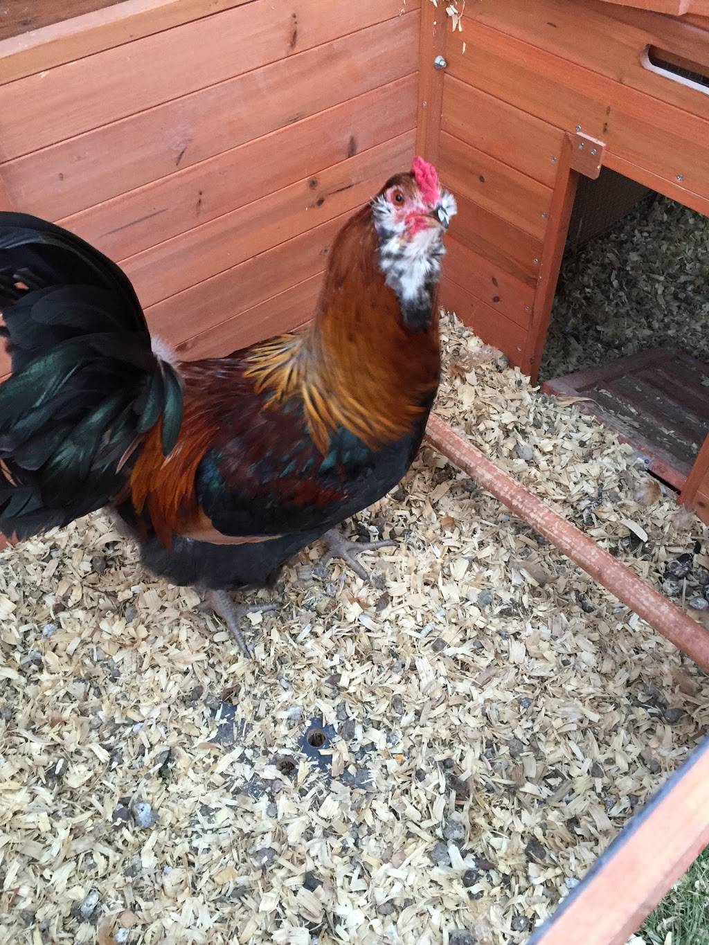 Mid Valley Organics, Inc. | restaurant | 13 Cortez Rd, Lake Ariel, PA 18436, USA | 5709379539 OR +1 570-937-9539